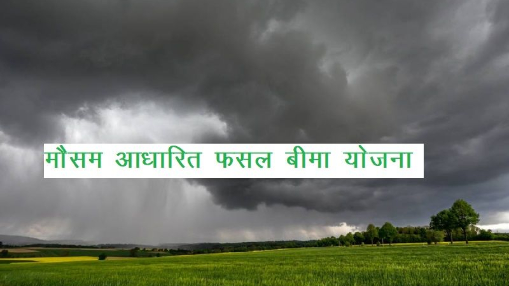 Weather_Based_Crop_Insurance_CMV_360_454df892ea