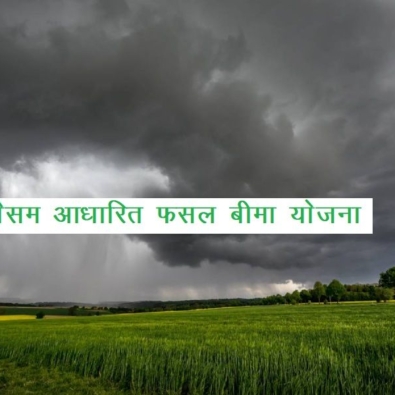 Weather_Based_Crop_Insurance_CMV_360_454df892ea