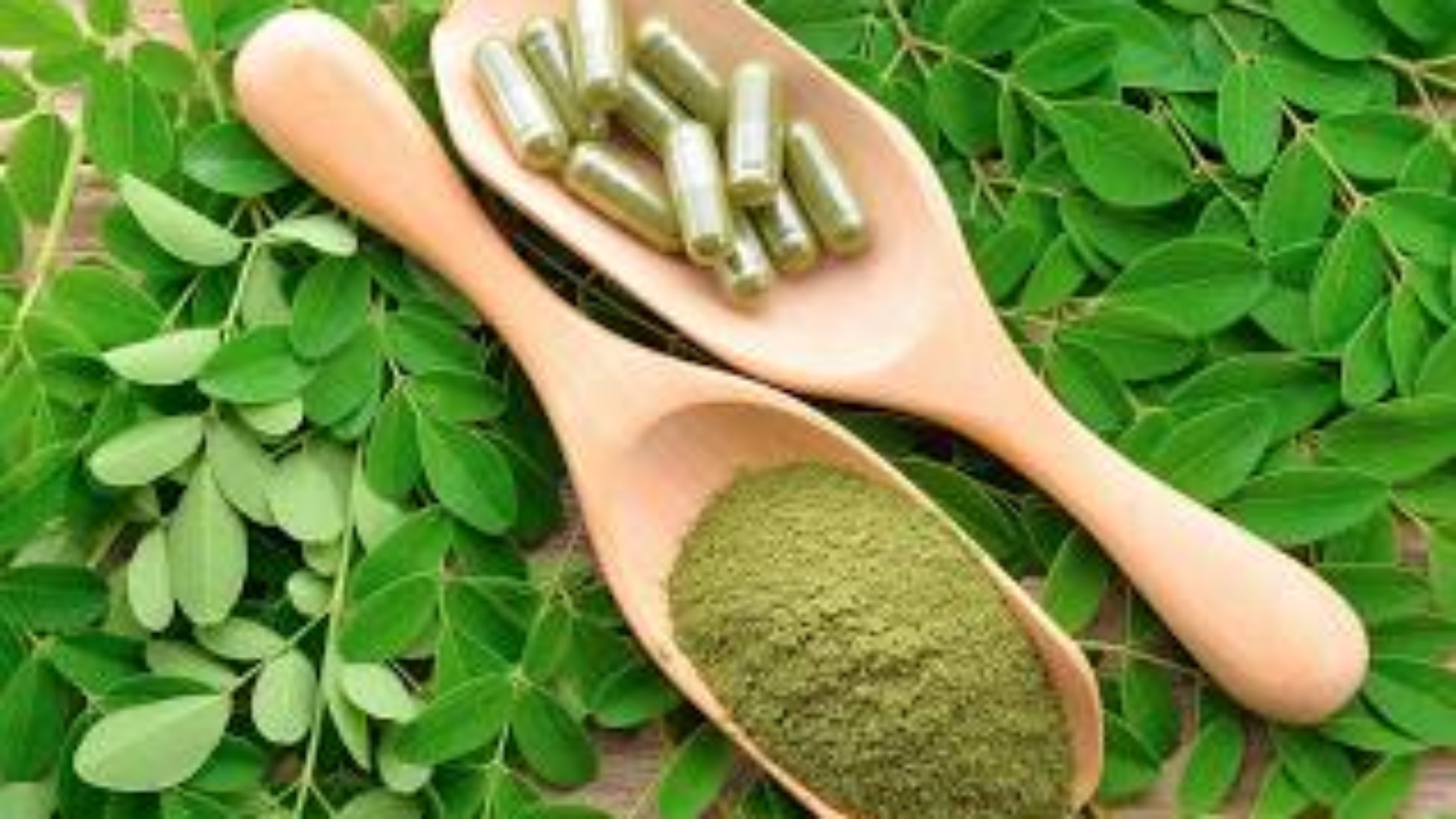 moringa leaf and powder capsule on  a wooden background